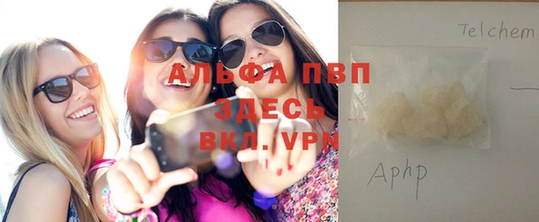 индика Баксан