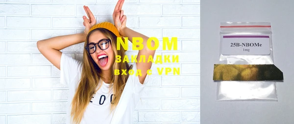 индика Баксан
