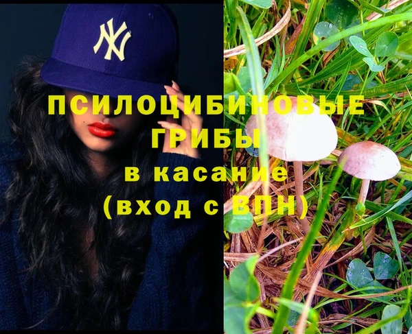 индика Баксан