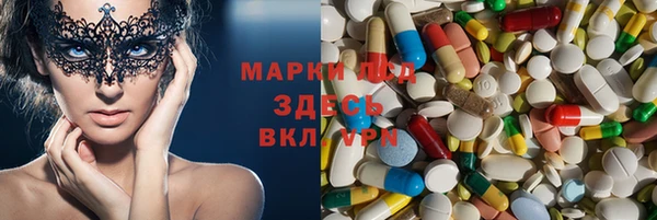 индика Баксан