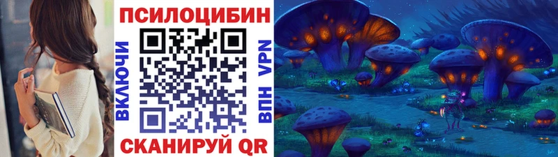 Псилоцибиновые грибы мицелий  Купить закладки  Сосновка 