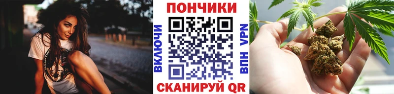 Бошки Шишки ГИДРОПОН Сосновка